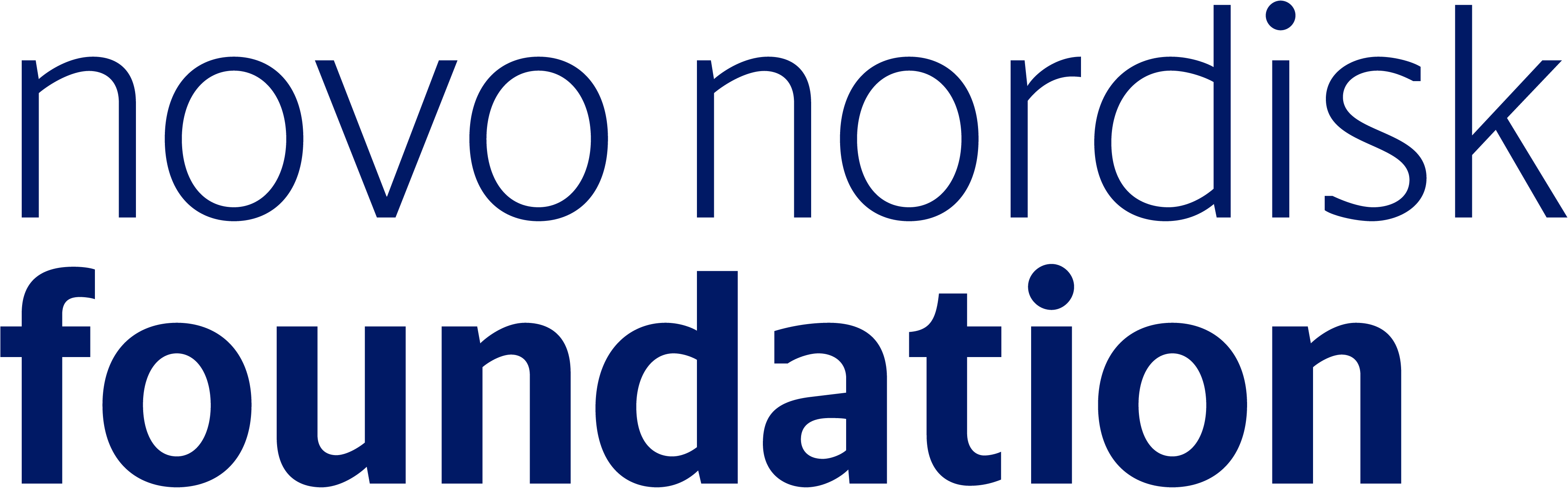 Novo Nordisk Foundation Logo - Blue text
